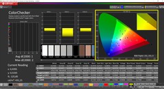 CalMAN ColorChecker（配置文件：P3，目标色彩空间：P3）