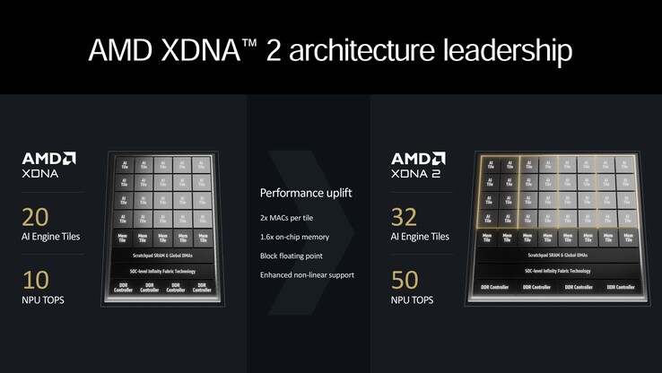 AMD XDNA2 概览（来源：AMD）