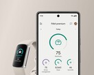 Fitbit 用户报告了新的 