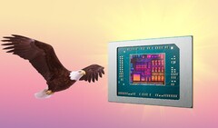 AMD Bald Eagle Point 如果不被取消，将于明年发布。(图片来源：AMD、FlashBuddy，经编辑）