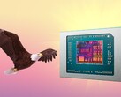 AMD Bald Eagle Point 如果不被取消，将于明年发布。(图片来源：AMD、FlashBuddy，经编辑）