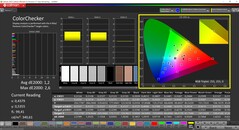 CalMAN ColorChecker（配置文件：P3：目标色彩空间：P3）