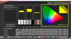 CalMAN ColorChecker（配置文件：P3，目标色彩空间：P3）