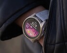 测试版 19.38 正以 OTA 方式向 Garmin Fenix 7 和相关智能手表推出。(图片来源：Garmin）