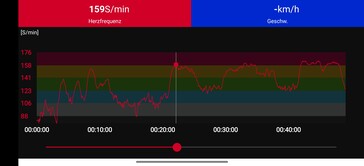 Polar H10 胸带