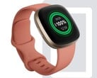 Fitbit Sense 和 Versa 3 智能手表用户表示，新更新影响了电池寿命。(图片来源：Fitbit）