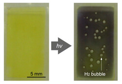 阳光下水中形成的 H2 气泡。(图片来源：JAIST）