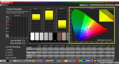 CalMAN ColorChecker（配置文件：本地，色彩目标空间：P3）