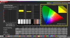 CalMAN ColorChecker（配置文件：P3，色彩目标空间：P3）