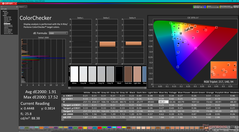 校准后的 ColorChecker