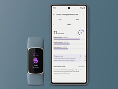 Fitbit 为部分用户发布了新的压力管理评分页面。(图片来源：Fitbit）