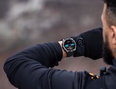 Fenix 8 系列现在可以使用第三个测试版更新。(图片来源：Garmin）