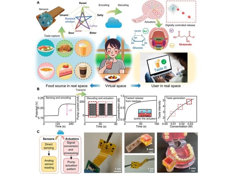 (图片来源：Science.org）