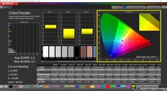 CalMAN ColorChecker（轮廓：P3，色彩空间：P3）