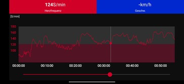 Polar H10 胸带