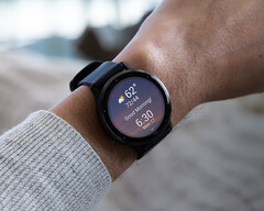 Garmin 尚未说明 v11 更新何时达到稳定状态。(图片来源：Garmin）