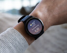 Garmin 尚未说明 v11 更新何时达到稳定状态。(图片来源：Garmin）