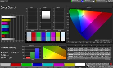 CalMAN sRGB 色彩空间