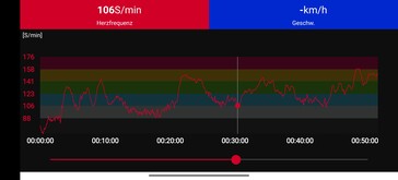 Polar H10 胸带