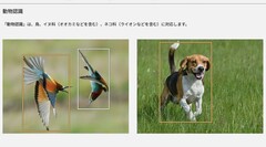 这两张照片以及 Lumix S9 产品页面上的其他照片引发了争议（图片来源：Panasonic）
