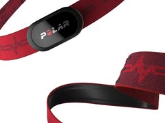 Polar 似乎正在开发一款与 H10（上图）类似的新型可穿戴表带。(图片来源：Polar）