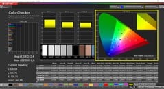 CalMAN 色彩检查器