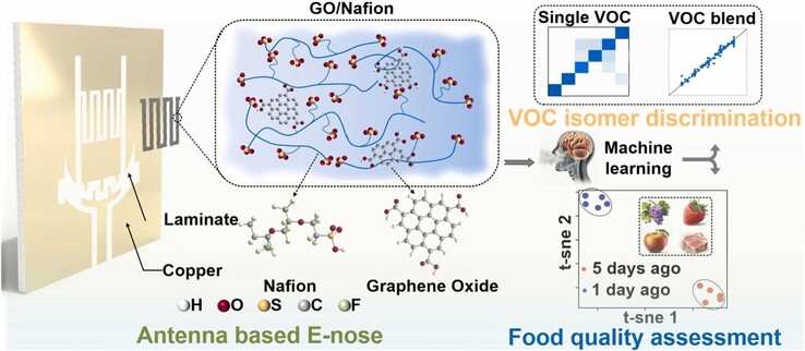 氧化石墨烯涂层单天线传感器的图解摘要。(图片来源：ScienceDirect）