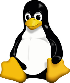 Linux 内核 6.11 即将发布，它将带来对新硬件的支持。(图片：维基共享资源）